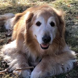 Meet your Posher, Connie